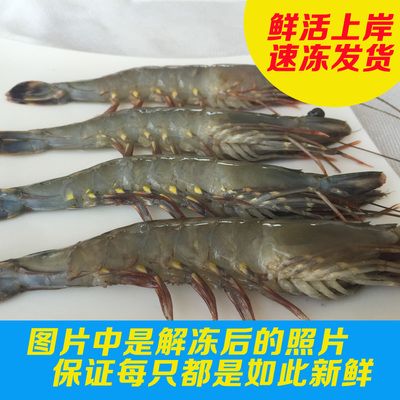 速凍黑虎蝦：速凍黑虎蝦怎么做？ 虎魚百科 第2張