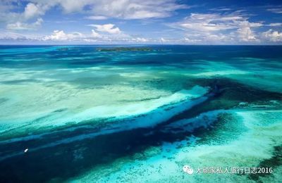 魟魚老在水面上游：魟魚老在水面上游可能有以下幾種情況 魟魚百科 第3張