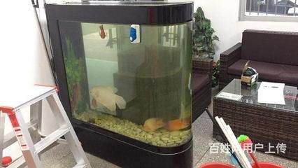 嘟力魚缸怎么樣：嘟力魚缸養(yǎng)護(hù)技巧，嘟力魚缸的質(zhì)量和服務(wù)可以從多方面了解