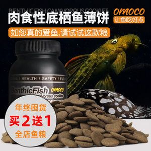 魟魚能喂飼料嗎有毒嗎視頻：魟魚可以喂飼料嗎有毒嗎 魟魚百科 第3張