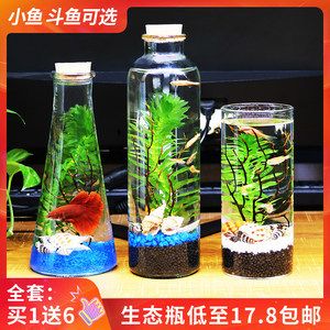 斗魚缸造景大賽官網(wǎng)：關(guān)于斗魚缸造景大賽官網(wǎng)的信息 魚缸百科 第3張