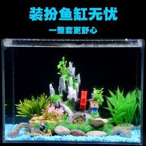 大梅家的魚缸里面都有什么物件呢：大梅家的魚缸是一個充滿生機和活力的地方 魚缸百科 第3張