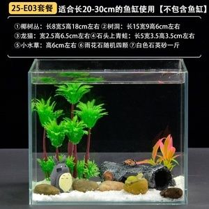 大梅家的魚缸里面都有什么物件呢：大梅家的魚缸是一個充滿生機和活力的地方 魚缸百科 第4張