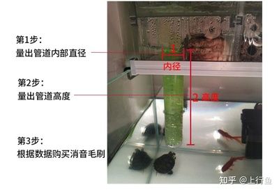 彩蝶溢流區(qū)消音：彩蝶溢流區(qū)怎么消音？