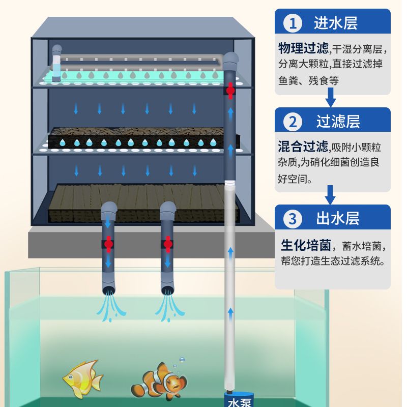 超市魚缸水循環(huán)示意圖怎么畫：繪制超市魚缸水循環(huán)示意圖的基本步驟 魚缸百科 第1張