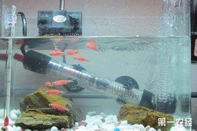 超市有賣魚缸加熱棒的嗎安全嗎：如何選擇合適的魚缸加熱棒？ 魚缸百科 第2張