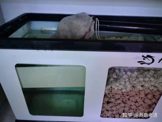 彩蝶魚缸過濾袋泡在水里會(huì)怎么樣啊：彩蝶魚缸過濾袋泡在水里可能會(huì)導(dǎo)致以下幾種情況