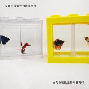 斗魚(yú)缸隔板用透明的還是不透明的：在選擇斗魚(yú)缸隔板時(shí)，需要考慮到斗魚(yú)的特性以及其功能 魚(yú)缸百科 第1張