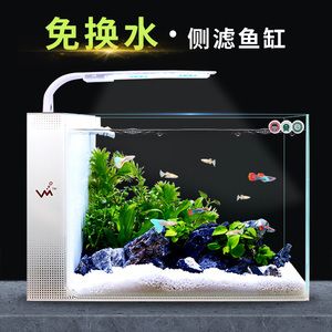 側(cè)濾魚缸造景：側(cè)濾魚缸造景是一種在魚缸內(nèi)進行布置的方法和方法 魚缸百科 第2張