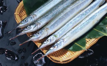 魟魚能不能下鹽：[需手動(dòng)填充]魚可以下鹽嗎？ 魟魚百科 第2張