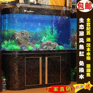 龍魚新入缸多久可以換水：新買的龍魚在入缸后多久可以換水，換水前后需要注意什么