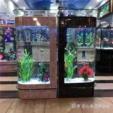 彩蝶水族箱怎么樣好用嗎知乎推薦：彩蝶水族箱在市場上有一定的知名度其產(chǎn)品質(zhì)量和使用效果受關(guān)注 彩鰈魚缸（彩蝶魚缸） 第3張