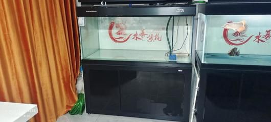 彩蝶魚(yú)缸濾材擺放：彩蝶魚(yú)缸濾材擺放指南 彩鰈魚(yú)缸（彩蝶魚(yú)缸） 第3張