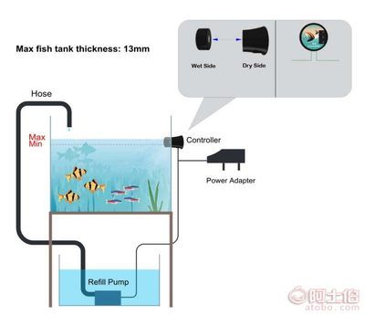 出門魚缸怎么補水：魚缸自動補水方法