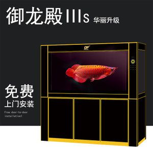 金龍魚缸寬度多少合適養(yǎng)魚：金龍魚缸寬度多少合適養(yǎng)魚金龍魚缸寬度多少合適