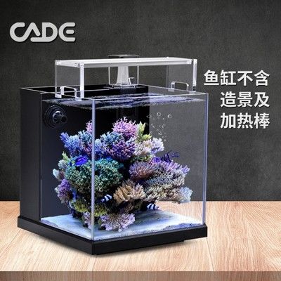 彩蝶海水缸華霖定制款：彩蝶品牌海水魚缸