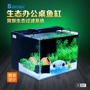 背濾魚缸造景：背濾魚缸造景的優(yōu)點和缺點和缺點了解背濾魚缸的優(yōu)點 魚缸百科 第1張