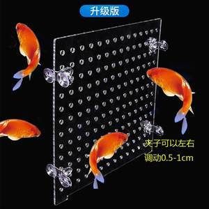 紅龍魚魚苗價(jià)格：紅龍魚價(jià)格多少錢一條