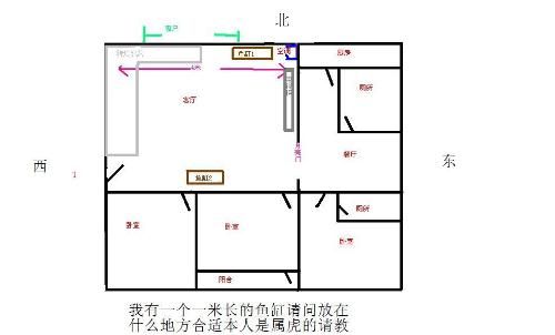 東南朝向的房子魚缸適合哪個(gè)位置：東南朝向房子的魚缸擺放位置最適合放在靠近南墻的位置 魚缸百科 第4張