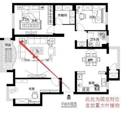 大型魚缸客廳風水財位方位：大型魚缸在客廳風水財位的方位應該如何擺放？ 魚缸百科 第3張