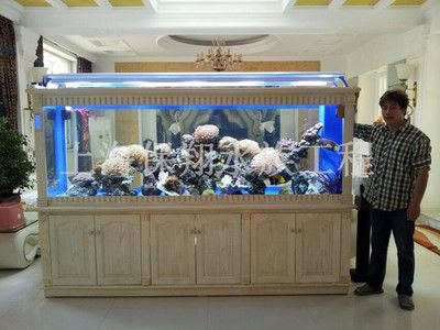 彩蝶魚缸廠簡介：如何購買彩蝶魚缸 彩鰈魚缸（彩蝶魚缸） 第2張