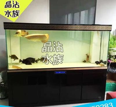 大型魚缸去哪里買比較好又實惠：大型魚缸的風水講究在風水學中如何挑選大型魚缸 魚缸百科 第1張