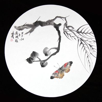 彩蝶魚(yú)缸干濕分離盒設(shè)計(jì)圖：如何制作魚(yú)缸干濕分離盒 彩鰈魚(yú)缸（彩蝶魚(yú)缸） 第1張