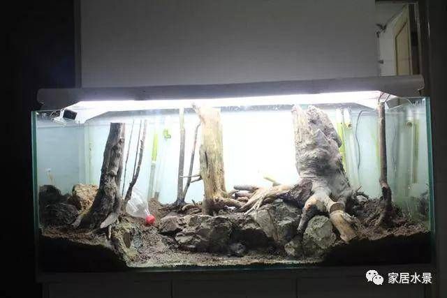 大師級魚缸造景：魚缸造景的分類與風(fēng)格魚缸造景有多種分類與風(fēng)格分類 魚缸百科 第3張