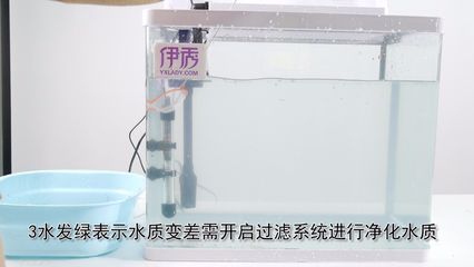 超市的魚缸怎樣管理水質(zhì)：超市海鮮池水質(zhì)管理 魚缸百科 第3張