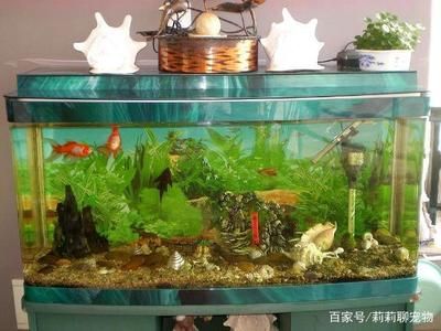 除了玻璃還有什么可以做魚(yú)缸：陶瓷魚(yú)缸制作教程】魚(yú)缸制作設(shè)計(jì)圖自制魚(yú)缸方法詳解 魚(yú)缸百科 第3張