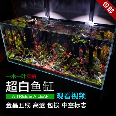 超白魚缸和金晶超白魚缸有什么區(qū)別：超白魚缸和金晶超白魚缸的區(qū)別