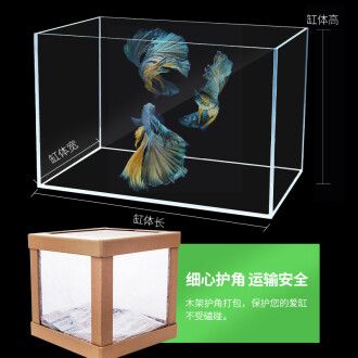 超白魚(yú)缸和金晶超白魚(yú)缸有什么區(qū)別：超白魚(yú)缸和金晶超白魚(yú)缸的區(qū)別 魚(yú)缸百科 第2張