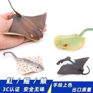 魟魚喂食器：如何選擇魟魚喂食器 魟魚百科 第1張