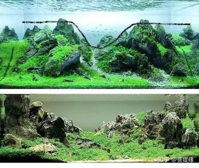 1.2米魚缸水草造景大約需要多少錢？：1.2米魚缸水草造景大約需要多少錢 魚缸百科 第1張