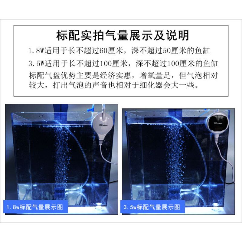 不用氧氣泵怎么給魚缸加氧氣：如何在魚缸中增加氧氣？ 魚缸百科 第2張