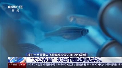 冬季魚缸溫度：冬季魚缸水溫的控制方法 魚缸百科 第3張