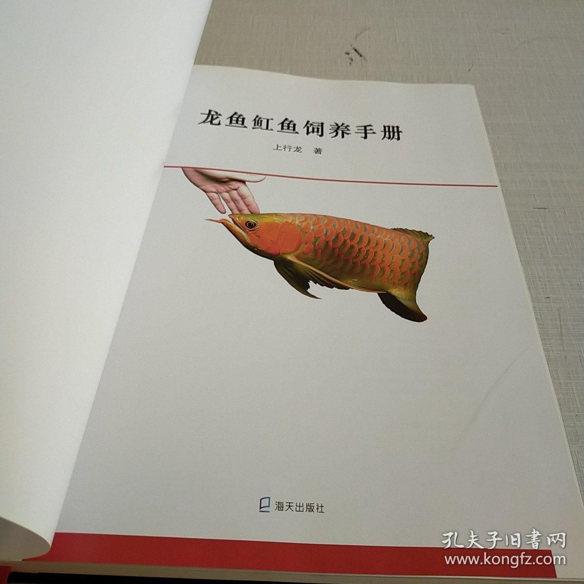 龍魚魟魚飼養(yǎng)手冊pdf：《龍魚魟魚飼養(yǎng)手冊》pdf下載 魟魚百科 第2張