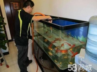 大型魚缸清洗方法視頻：大型魚缸清洗方法和注意事項(xiàng)（大型魚缸清洗方法視頻） 魚缸百科 第4張