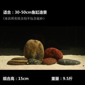 1.5魚缸有多重：1.5米的魚缸有多重 魚缸百科 第3張