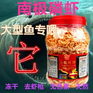 龍魚能喂蝦干嗎：龍魚可以喂蝦干嗎，龍魚能喂蝦干嗎， 龍魚百科 第3張