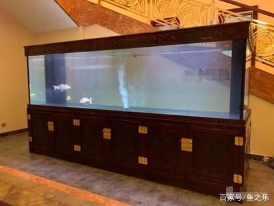 多大算大魚缸：多大的魚缸算大魚缸 魚缸百科 第3張