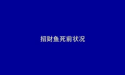 虎魚身上有白點(diǎn)病用什么藥治療：當(dāng)虎魚感染白點(diǎn)病時(shí)，藥物治療是一個(gè)有效的治療方法 虎魚百科 第3張