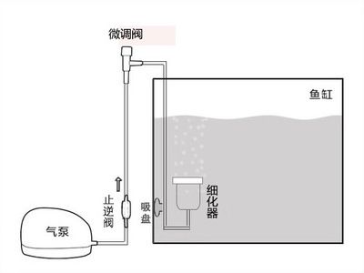 大型魚缸的安裝方法：大型魚缸安裝方法和注意事項 魚缸百科 第3張