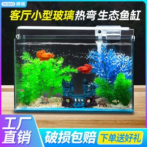 草缸魚缸和水族箱區(qū)別：草缸、魚缸和水族箱的區(qū)別 魚缸百科 第3張