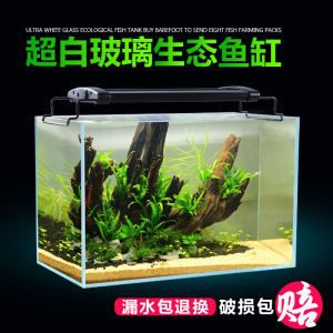 草缸魚缸和水族箱區(qū)別：草缸、魚缸和水族箱的區(qū)別 魚缸百科 第1張