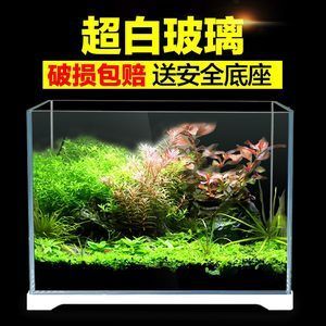 草缸魚缸和水族箱區(qū)別：草缸、魚缸和水族箱的區(qū)別 魚缸百科 第4張