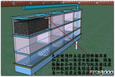 大型魚缸制作設(shè)計圖紙：大型魚缸制作材料 魚缸百科 第3張