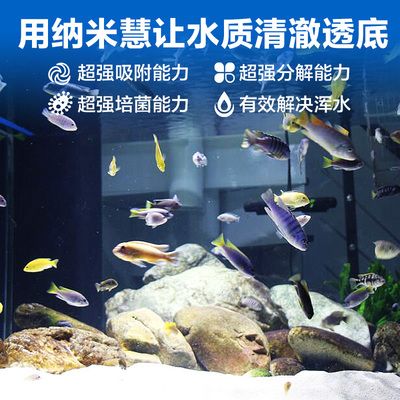 大魚(yú)缸不換水怎么日常維護(hù)呢：大魚(yú)缸不換水的日常維護(hù)方法 魚(yú)缸百科 第4張