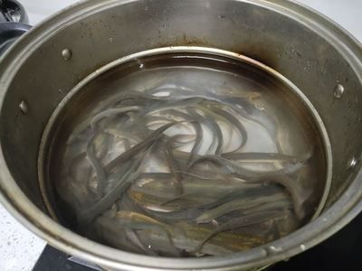 喂龍魚泥鰍怎么處理干凈：喂龍魚泥鰍怎么處理