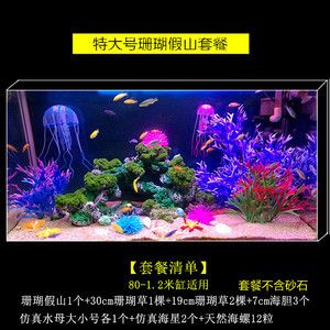 大魚缸能造景嗎視頻：大魚缸的造景技巧 魚缸百科 第1張